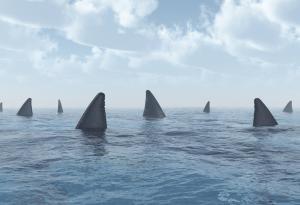 Плувай или умри - това ли е съдбата на акулите?