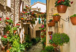 20 красиви улици, които приличат на сбъдната мечта