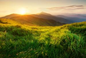 Да инвестираме в природата с програма LIFE