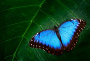 Всичко е в твоите ръце