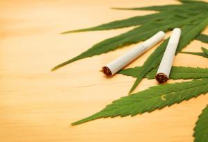 Канабисът намалява мотивацията за работа