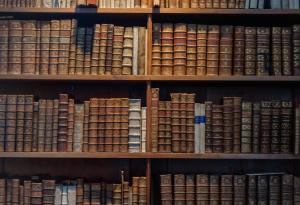 Мистериозен 14-годишен цикъл контролира думите ни от векове