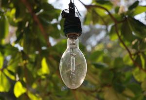 Лампата, която се захранва с елементи от почвата около нас