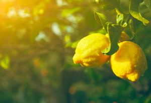 10 начина да подобрите деня си за 5 минути