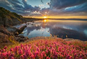 Идеи за лятна ваканция - къде, кога и колко ще ни струва