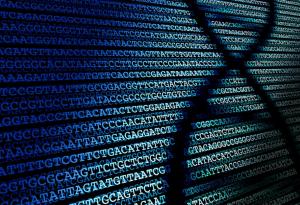 Разгадаха мистерията на излишната ДНК