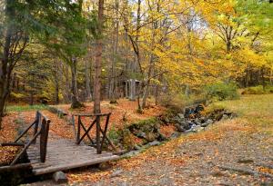 Маршрути: До Симеоновските езера