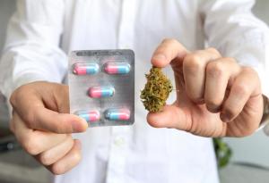 Марихуаната помага при възпаление на вътрешностите