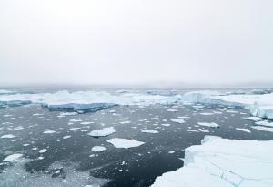 Екосистемата в Арктическия океан е застрашена