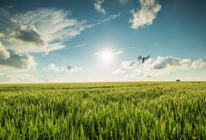 Дрон-полинатор може да ни помогне да оцелеем след гибелта на пчелите