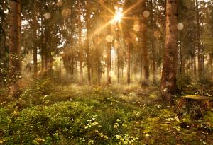 Този тест ще разкрие тайните на вашето подсъзнание