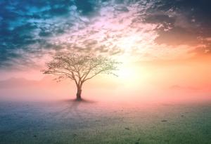 9 вдъхновяващи житейски урока, които ще променят живота ви