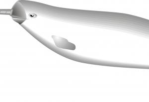 Нарвалите виждат като никое друго животно на Земята