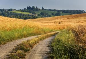 Притча за мъдрия селянин
