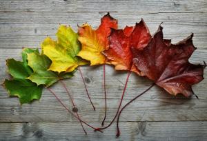 Как се променяме за 20 години