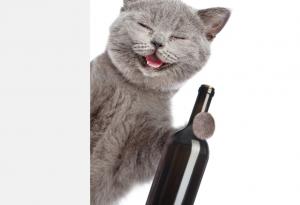 Видео: Пияни животни