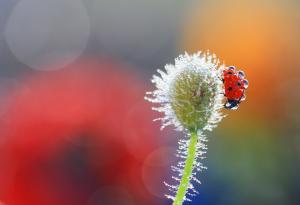 15 изумителни снимки, разкриващи величието на природата