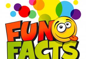 Забавни любопитни факти