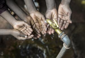 Разгадаха еволюцията на холерата