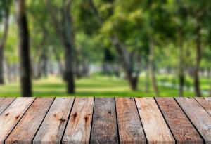 Зелените пространства намаляват градската престъпност