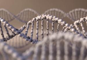 Учени създадоха полу-синтетични форми на живот