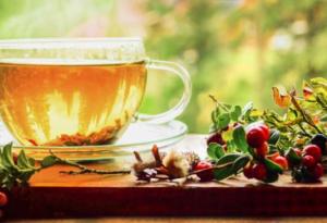 Билков чай и бременност: това да, това – не