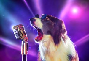 Видео: Куче пее песен на Куин