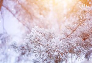 Експерименти у дома: Направи си сняг