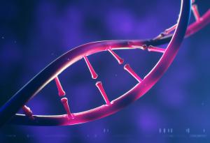 Колко трайна е ДНК?