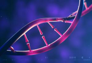 Алкохолът наистина уврежда директно ДНК	