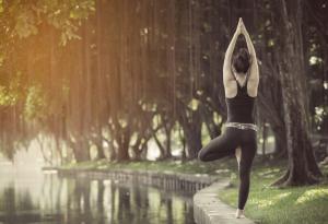 10 факта за медитацията