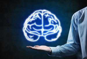 Човешкият мозък съзрява чак към 40 г.