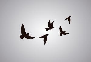 Кой е Харун Яхя и какво казва за живеенето