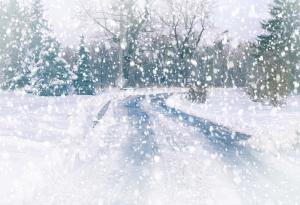 Видео: Дрон лети в снежна буря