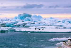 Океанът прерязва ключов антарктически шелф