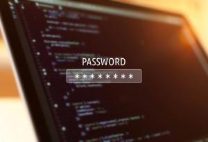 Защитени ли са нашите пароли в Интернет?