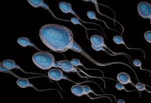 Отрова от стрели е бъдещето на мъжкия контрацептив