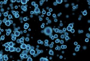 Учени научиха бактерии да ядат електричество