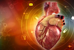 Знаете ли това за собственото си сърце?