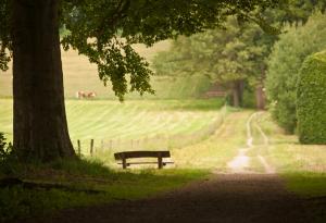 Започнете да създавате своето собствено щастие