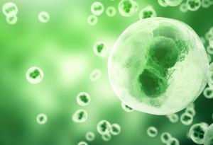 Шизофренията е 80% генетична