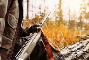 Виц: Двама статистици на лов