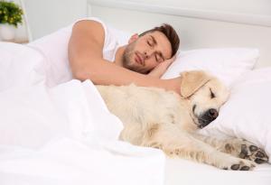8 неща, които се случват, когато позволите на кучето да спи при вас