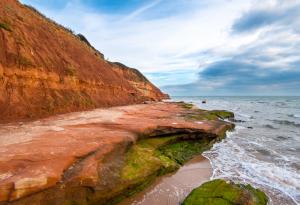 Ако емисиите на въглероден двуокис продължават да се увеличват, Земята ще влезе в нов Триасов период