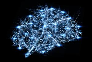 Мозъкът на възрастните може да произвежда толкова нови клетки, колкото и на младите хора
