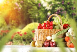 25 храни, които съдържат малко над 0 калории