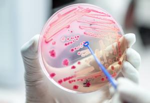 Антибиотичната резистентност се е удвоила през последните 20 години