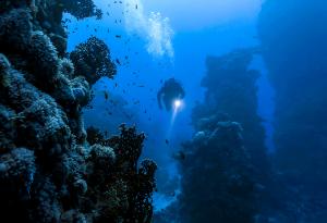 Мистериите и чудесата на дълбокия океан