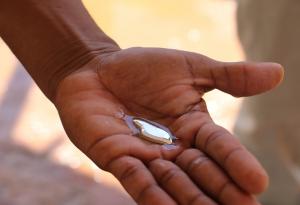 Видео: живак срещу сол