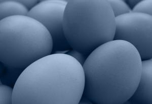 Някои динозаври са предпочитали яйцата си сини